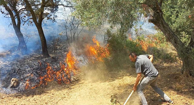 İzmir Kınık'taki yangında Devlet millet el ele verdi